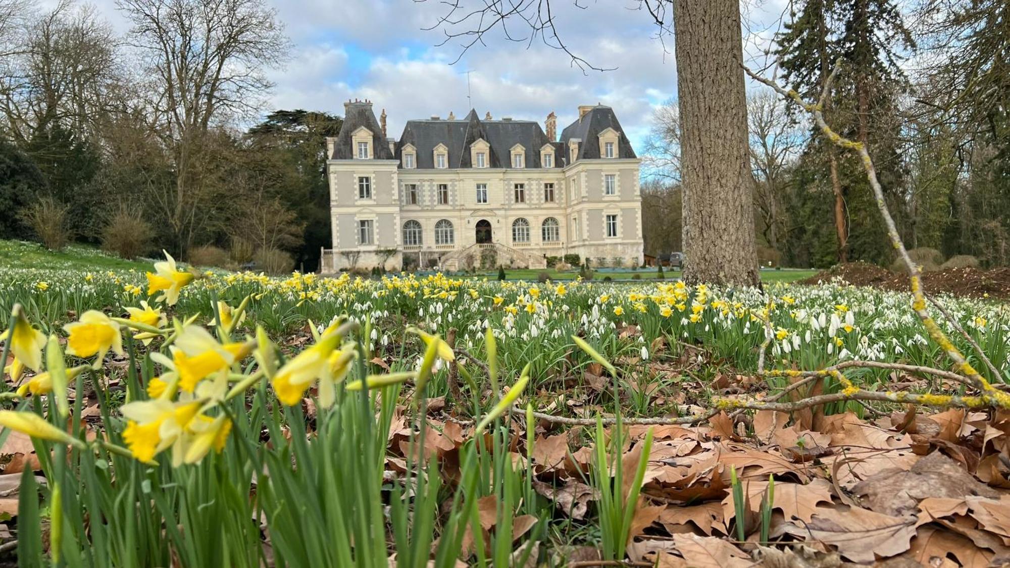 Chateau De Saint-Bohaire ภายนอก รูปภาพ