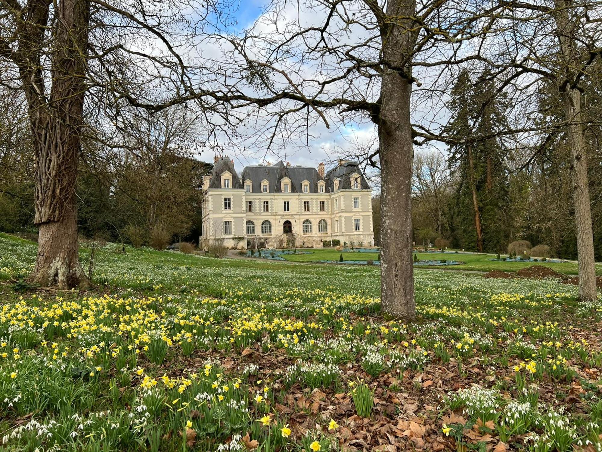 Chateau De Saint-Bohaire ภายนอก รูปภาพ